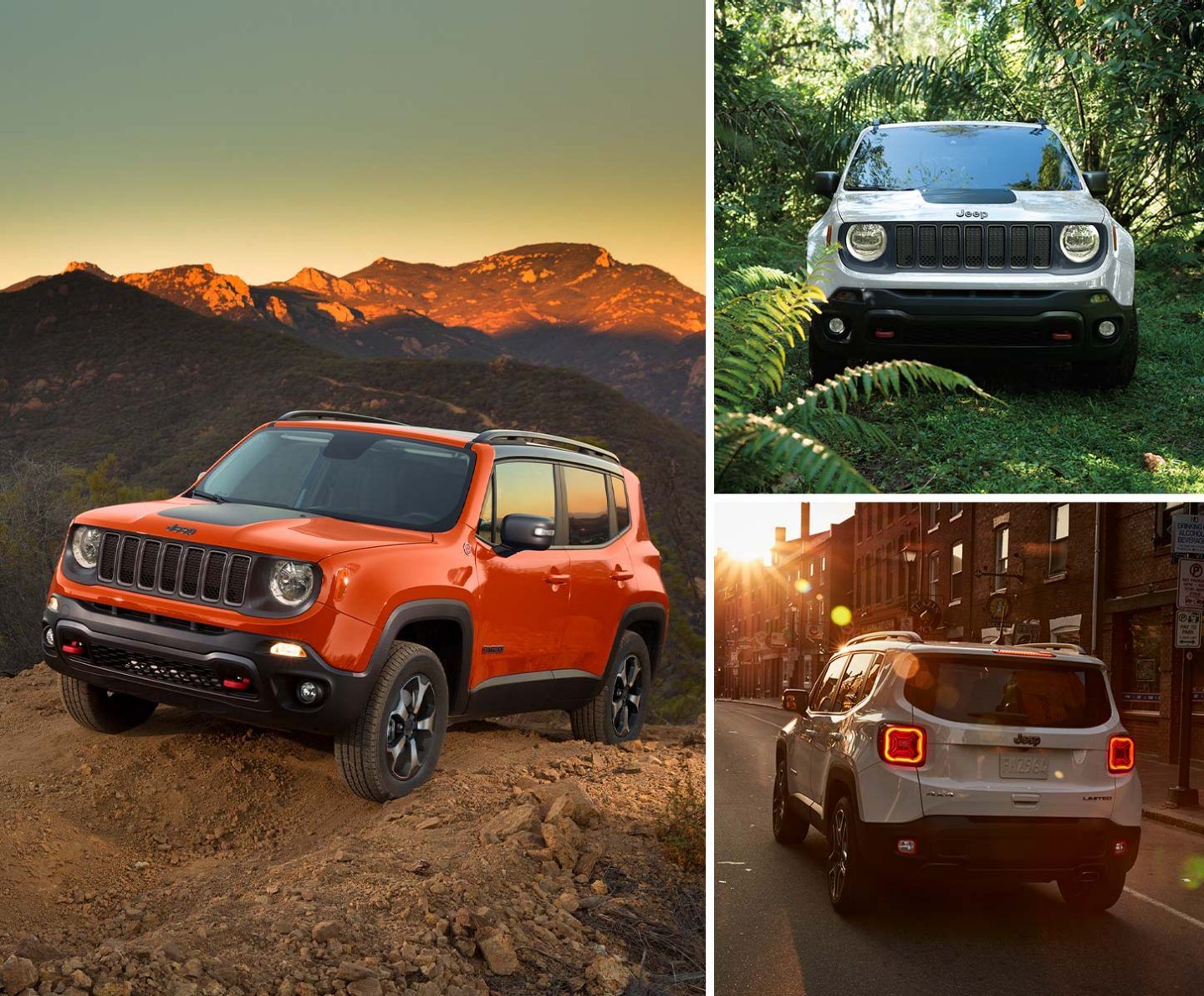 Three 2021 Jeep Renegade models, from different angles: climbing a rocky hill, parked in a lush green forest and being driven on a city street at sunset.